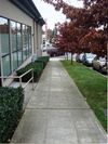 502 Rainier Ave S photo
